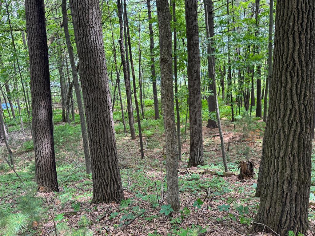 TBD Garden Dr Siren WI 54872 - Long Lake 7104970 image15