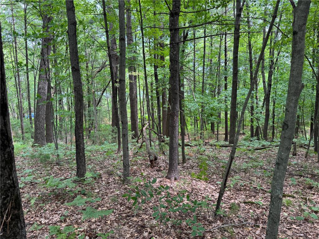 TBD Garden Dr Siren WI 54872 - Long Lake 7104970 image16