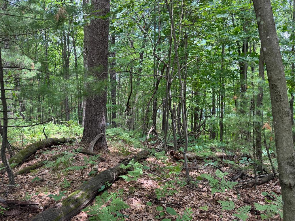 TBD Garden Dr Siren WI 54872 - Long Lake 7104970 image17