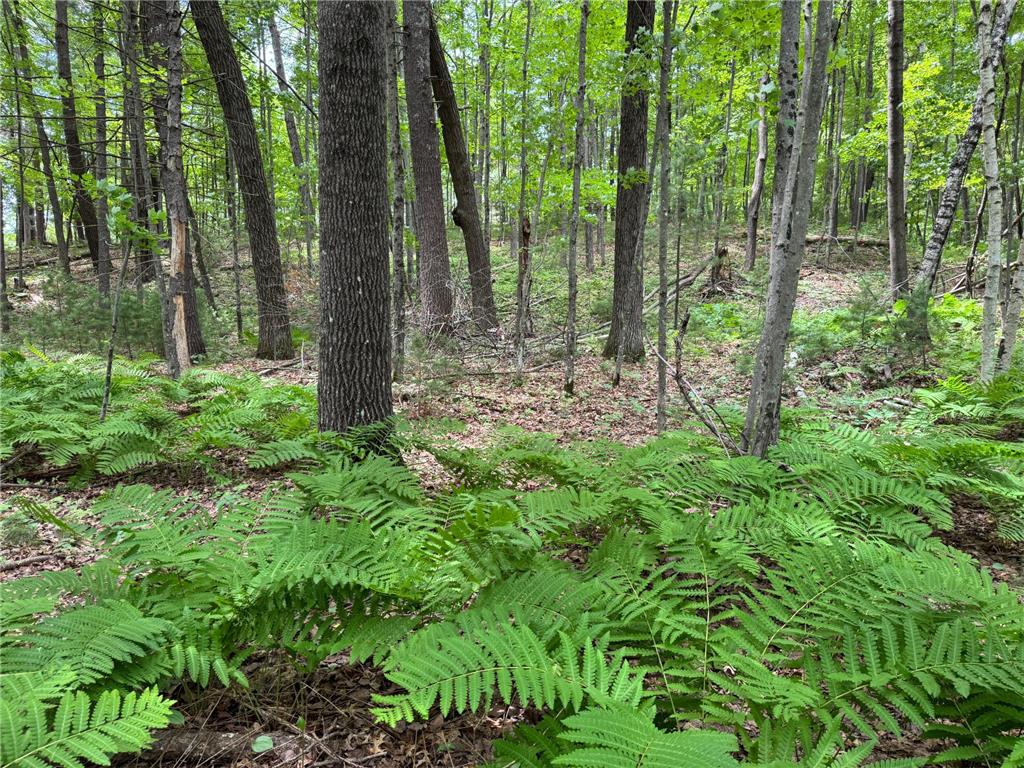 TBD Garden Dr Siren WI 54872 - Long Lake 7104970 image3