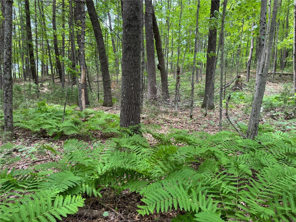 TBD Garden Dr Siren WI 54872 - Long Lake 7104970 image4
