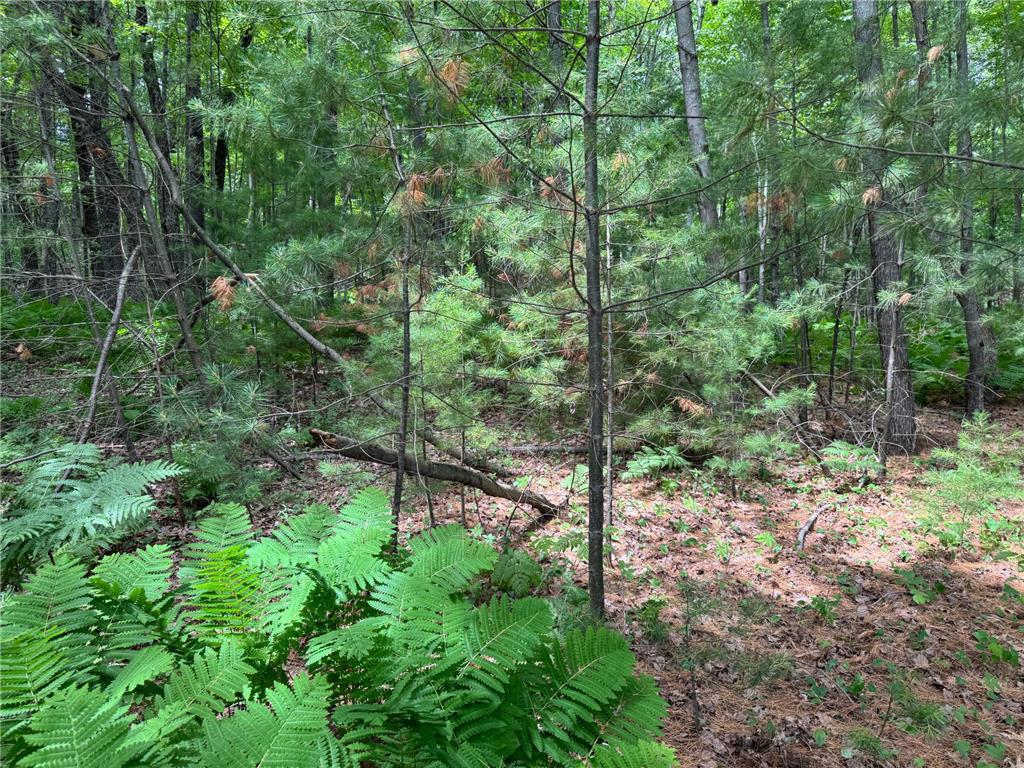 TBD Garden Dr Siren WI 54872 - Long Lake 7104970 image6
