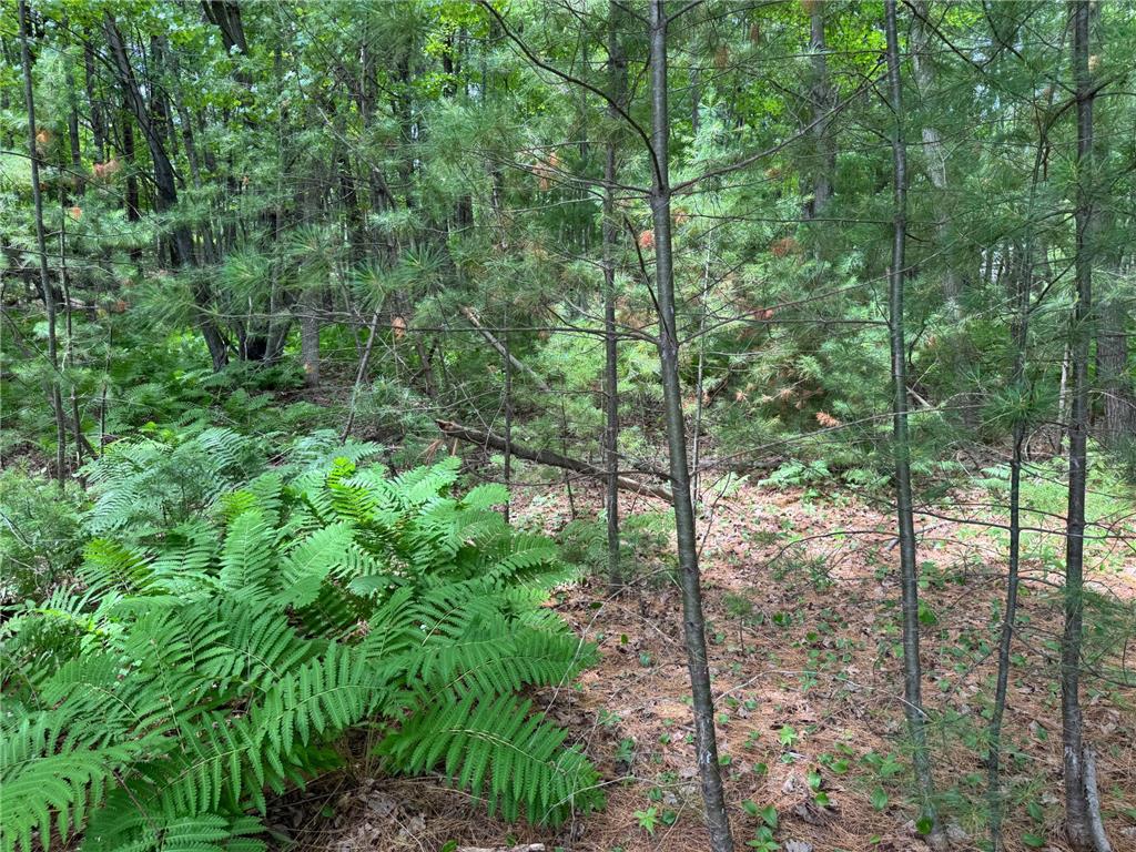 TBD Garden Dr Siren WI 54872 - Long Lake 7104970 image7