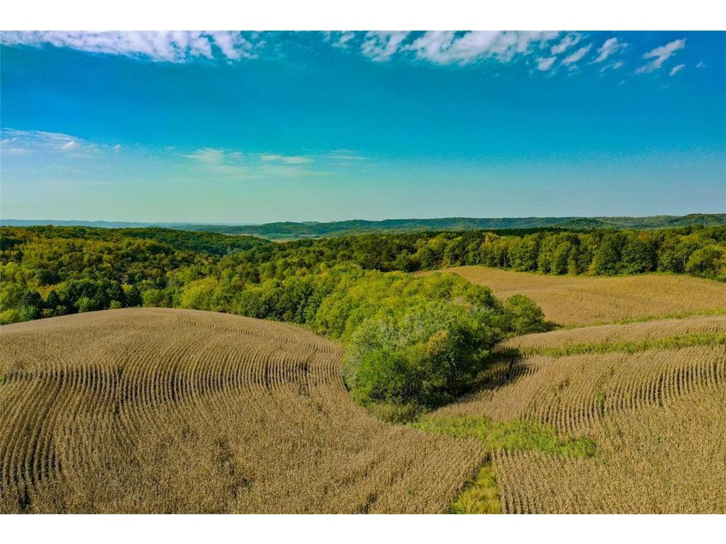 TBD Garves Road Burns Twp WI 54614 6810391 image12