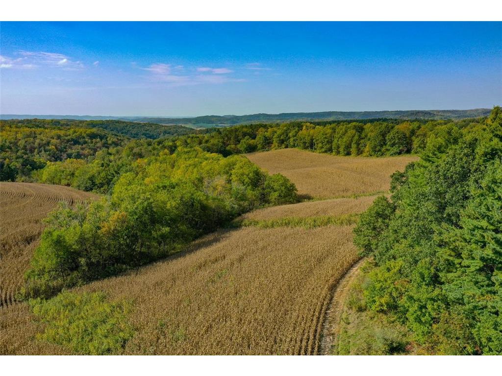 TBD Garves Road Burns Twp WI 54614 6810391 image14