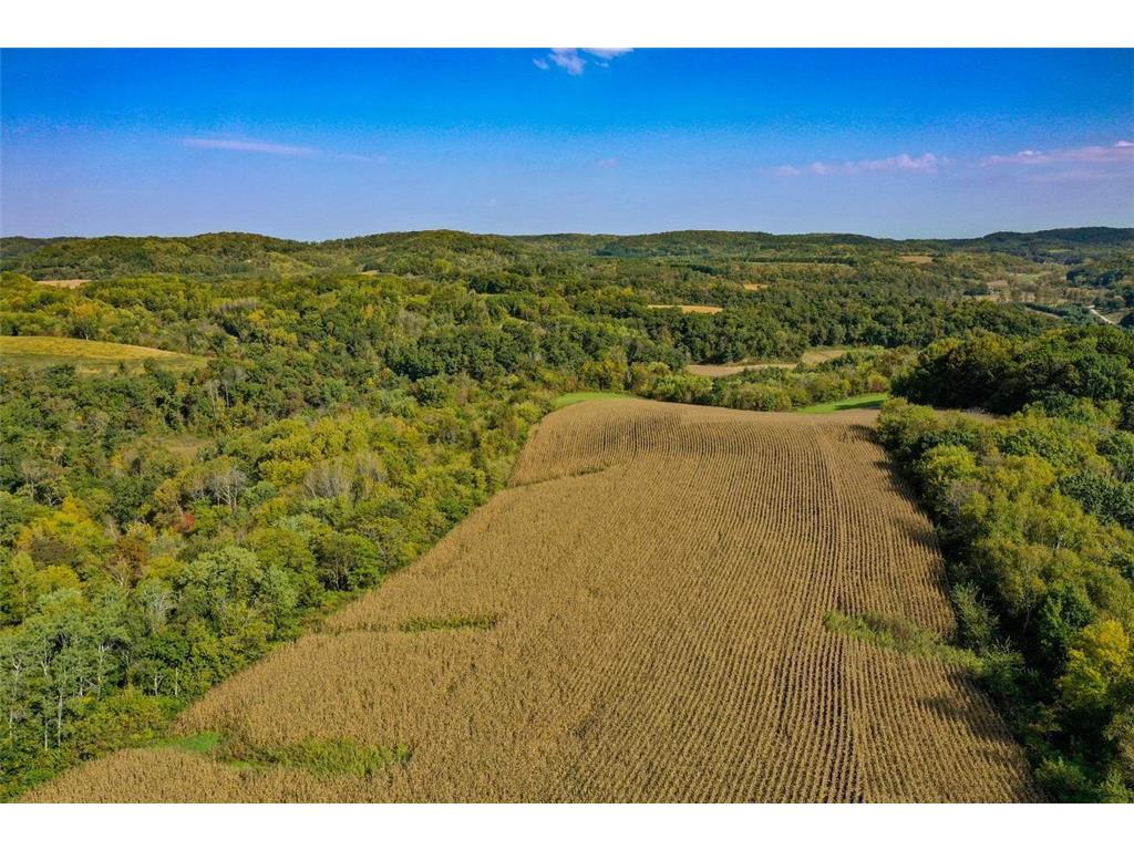 TBD Garves Road Burns Twp WI 54614 6810391 image16