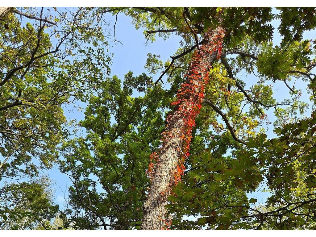 TBD Garves Road Burns Twp WI 54614 6810391 image17