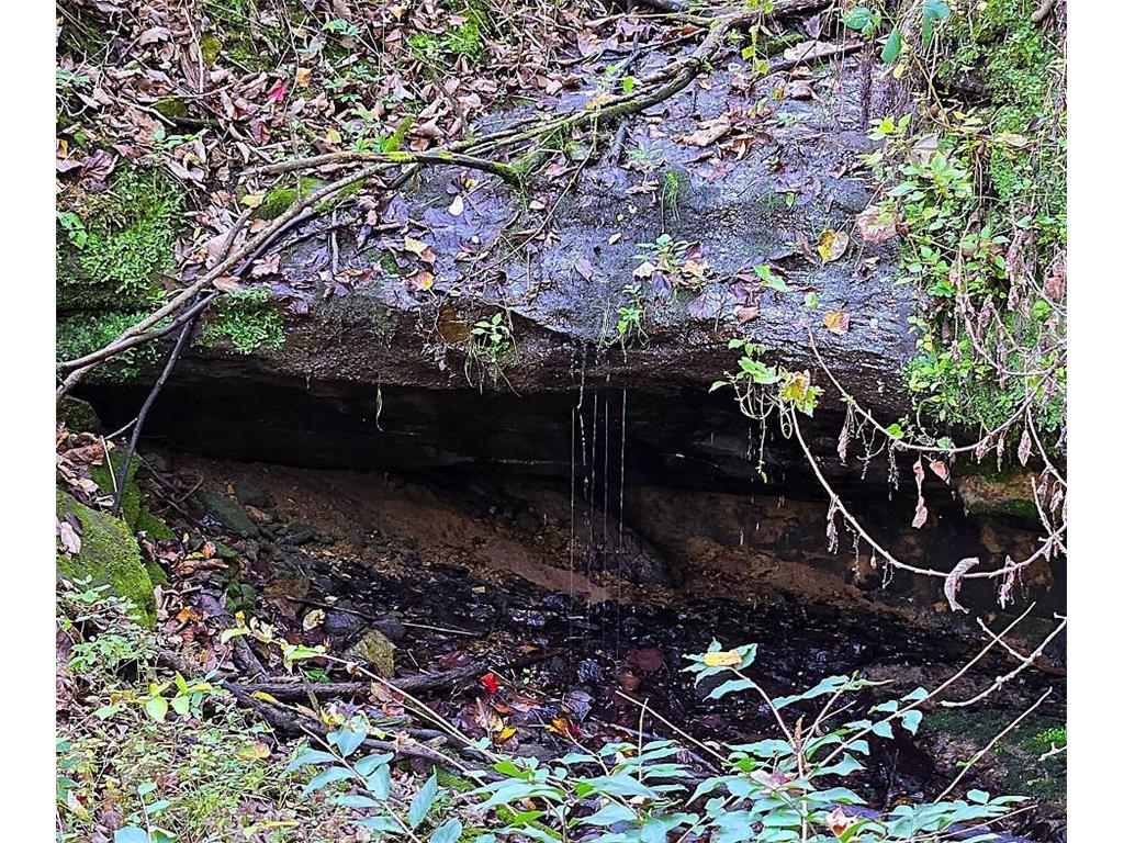 TBD Garves Road Burns Twp WI 54614 6810391 image18