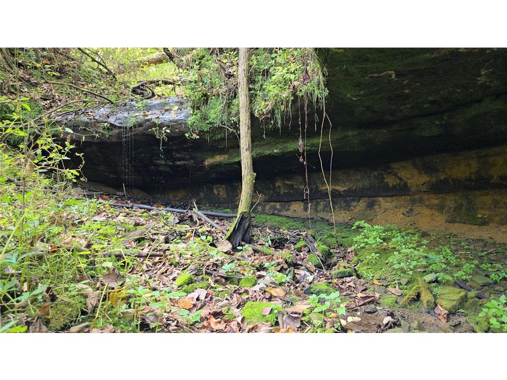 TBD Garves Road Burns Twp WI 54614 6810391 image19