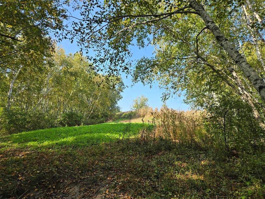 TBD Garves Road Burns Twp WI 54614 6810391 image22