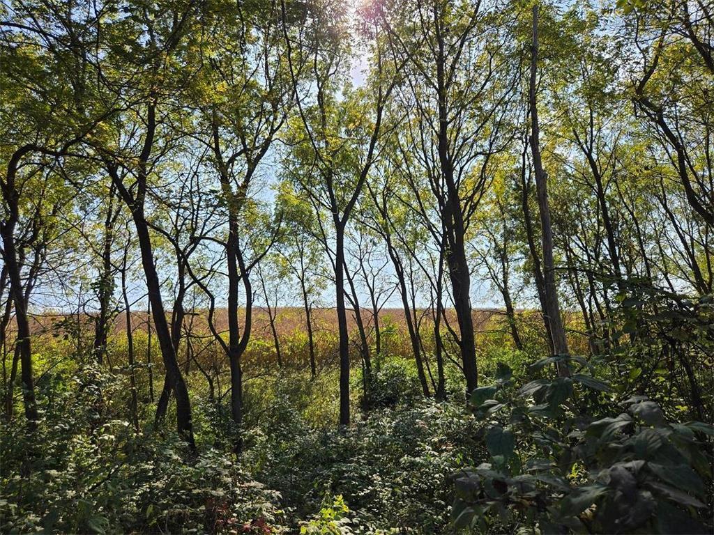 TBD Garves Road Burns Twp WI 54614 6810391 image24