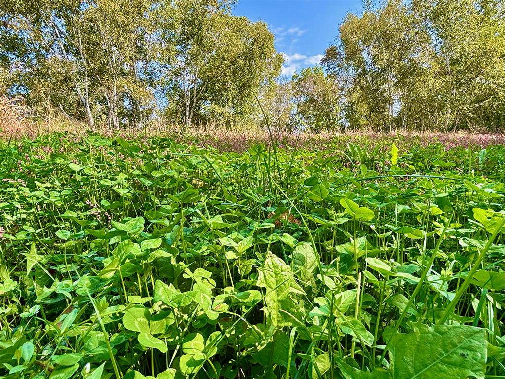 TBD Garves Road Burns Twp WI 54614 6810391 image25