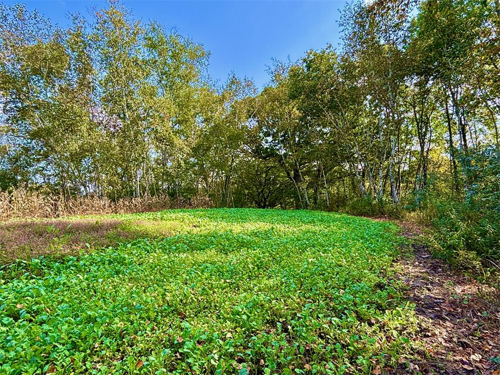 TBD Garves Road Burns Twp WI 54614 6810391 image26