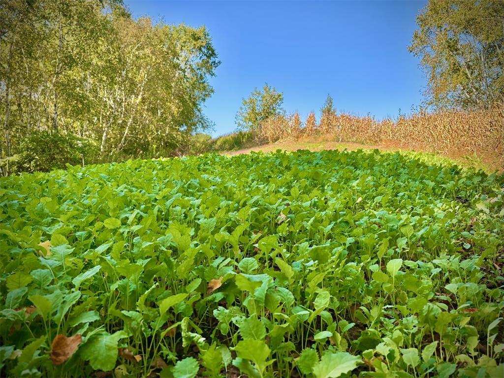 TBD Garves Road Burns Twp WI 54614 6810391 image27