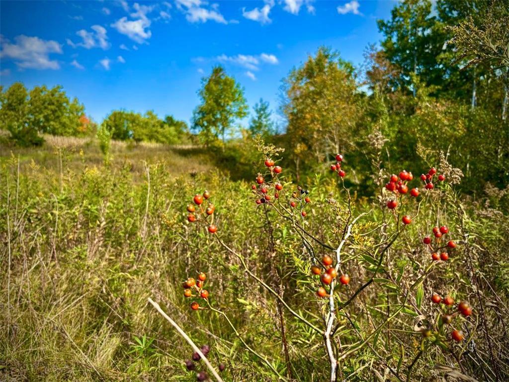 TBD Garves Road Burns Twp WI 54614 6810391 image30