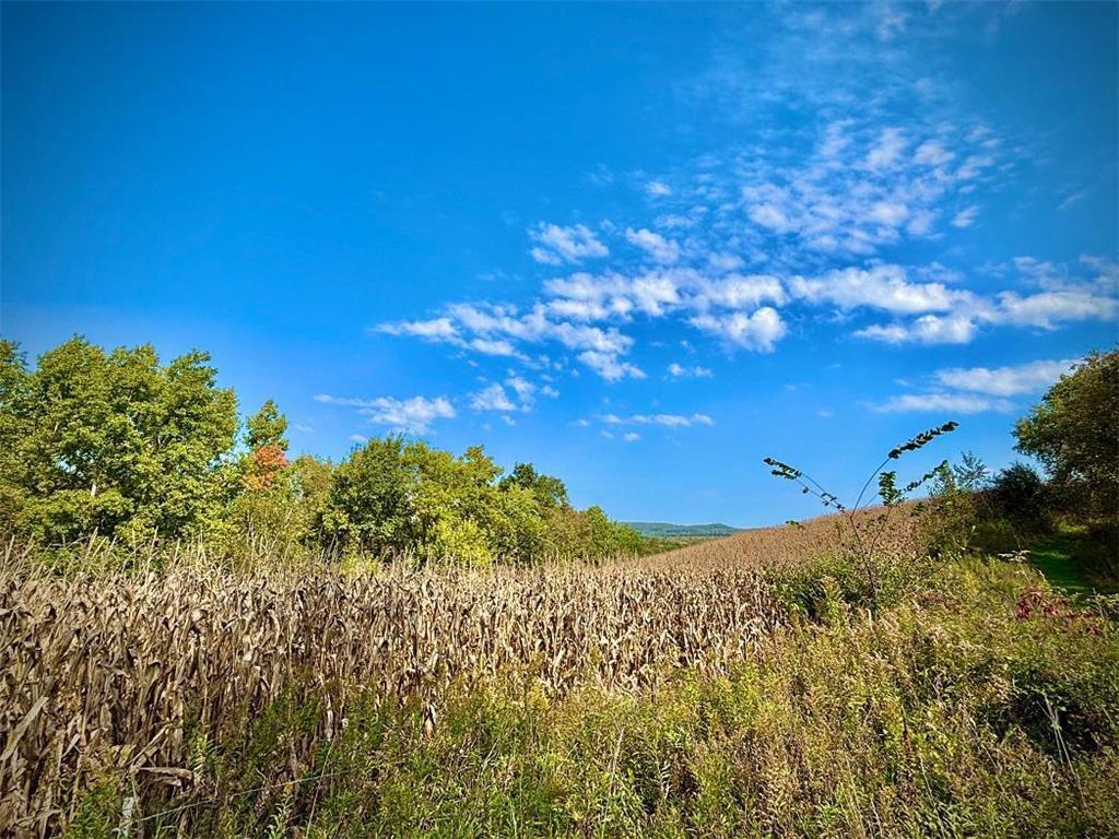 TBD Garves Road Burns Twp WI 54614 6810391 image31