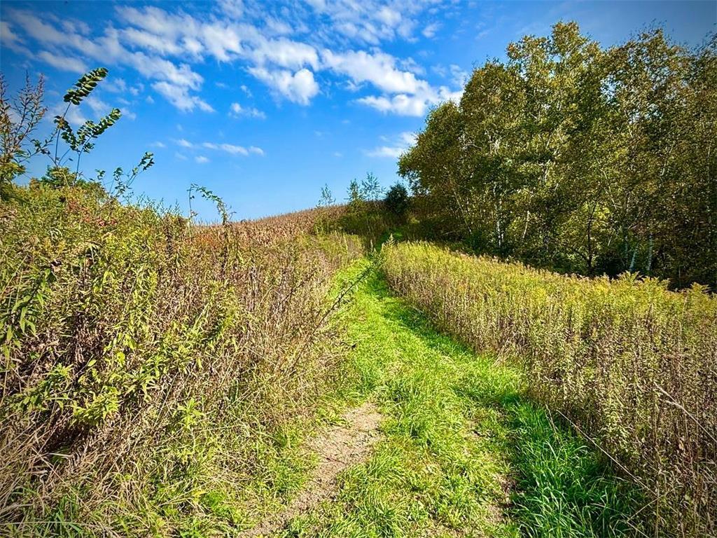 TBD Garves Road Burns Twp WI 54614 6810391 image33