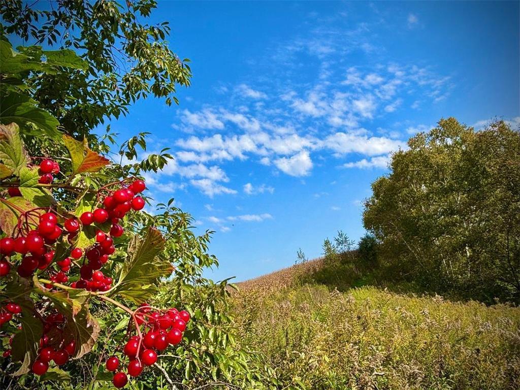 TBD Garves Road Burns Twp WI 54614 6810391 image35