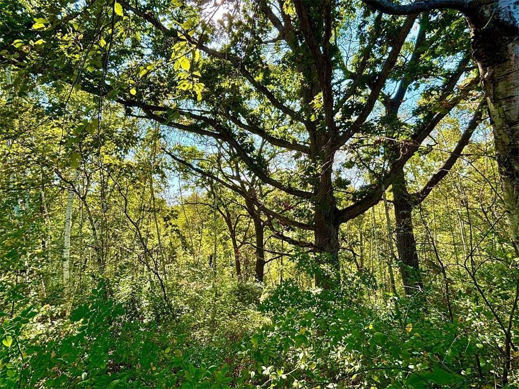 TBD Garves Road Burns Twp WI 54614 6810391 image37