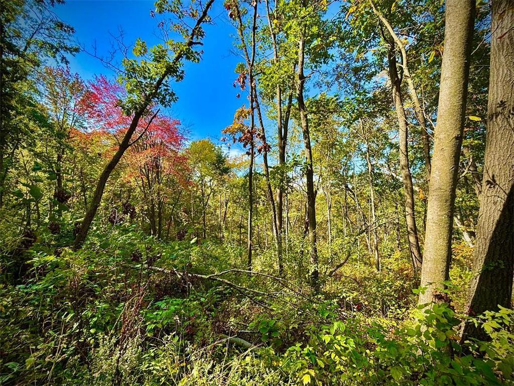 TBD Garves Road Burns Twp WI 54614 6810391 image38