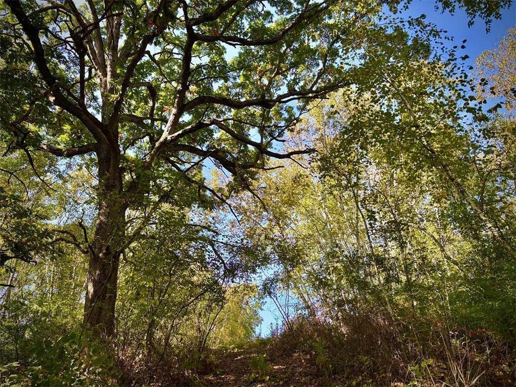 TBD Garves Road Burns Twp WI 54614 6810391 image39