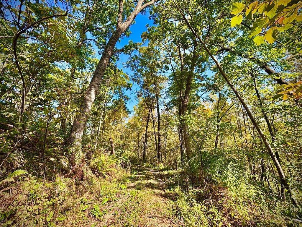 TBD Garves Road Burns Twp WI 54614 6810391 image40