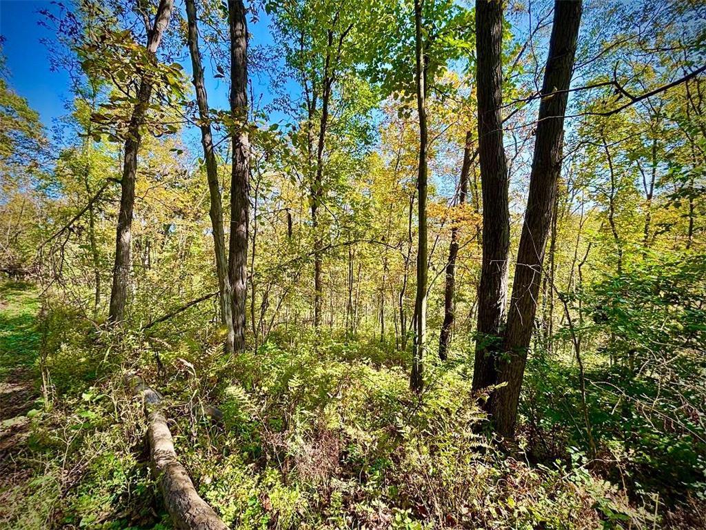 TBD Garves Road Burns Twp WI 54614 6810391 image41