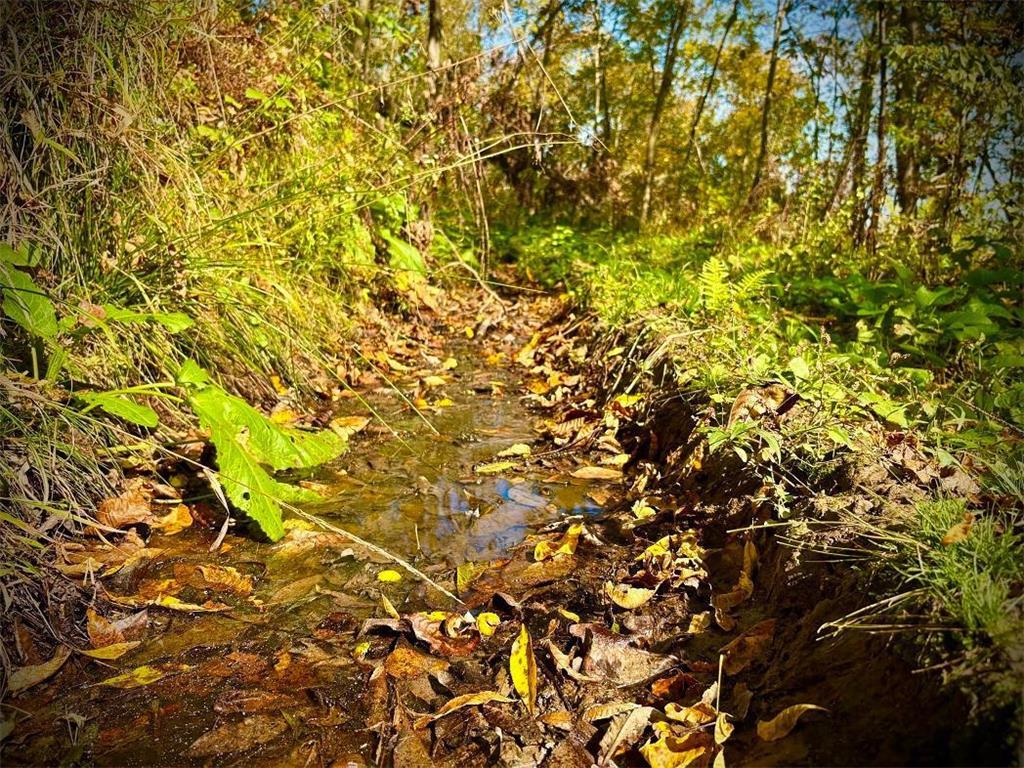 TBD Garves Road Burns Twp WI 54614 6810391 image42