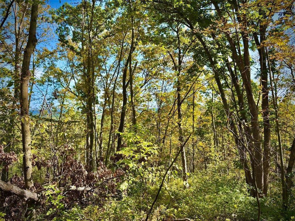 TBD Garves Road Burns Twp WI 54614 6810391 image43