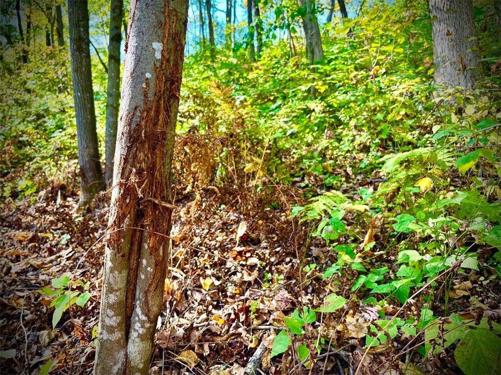 TBD Garves Road Burns Twp WI 54614 6810391 image44