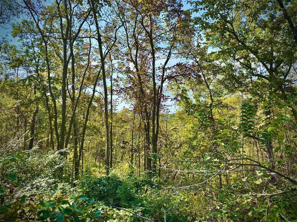 TBD Garves Road Burns Twp WI 54614 6810391 image45