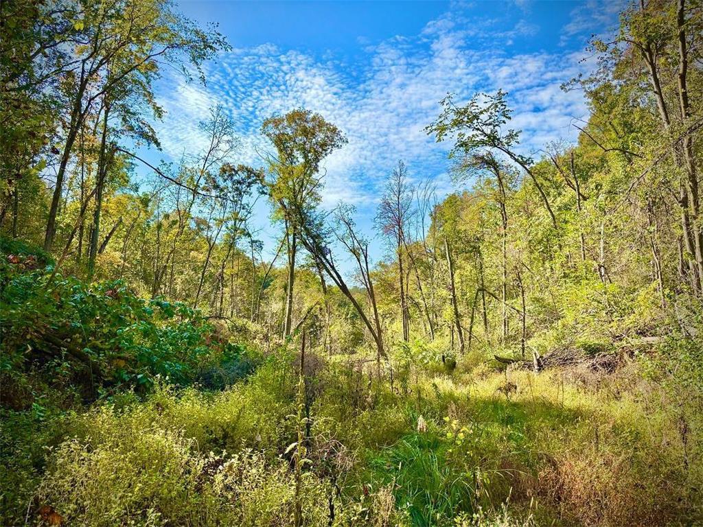 TBD Garves Road Burns Twp WI 54614 6810391 image46