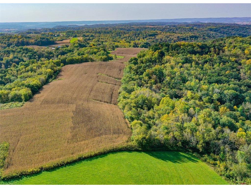 TBD Garves Road Burns Twp WI 54614 6810391 image6