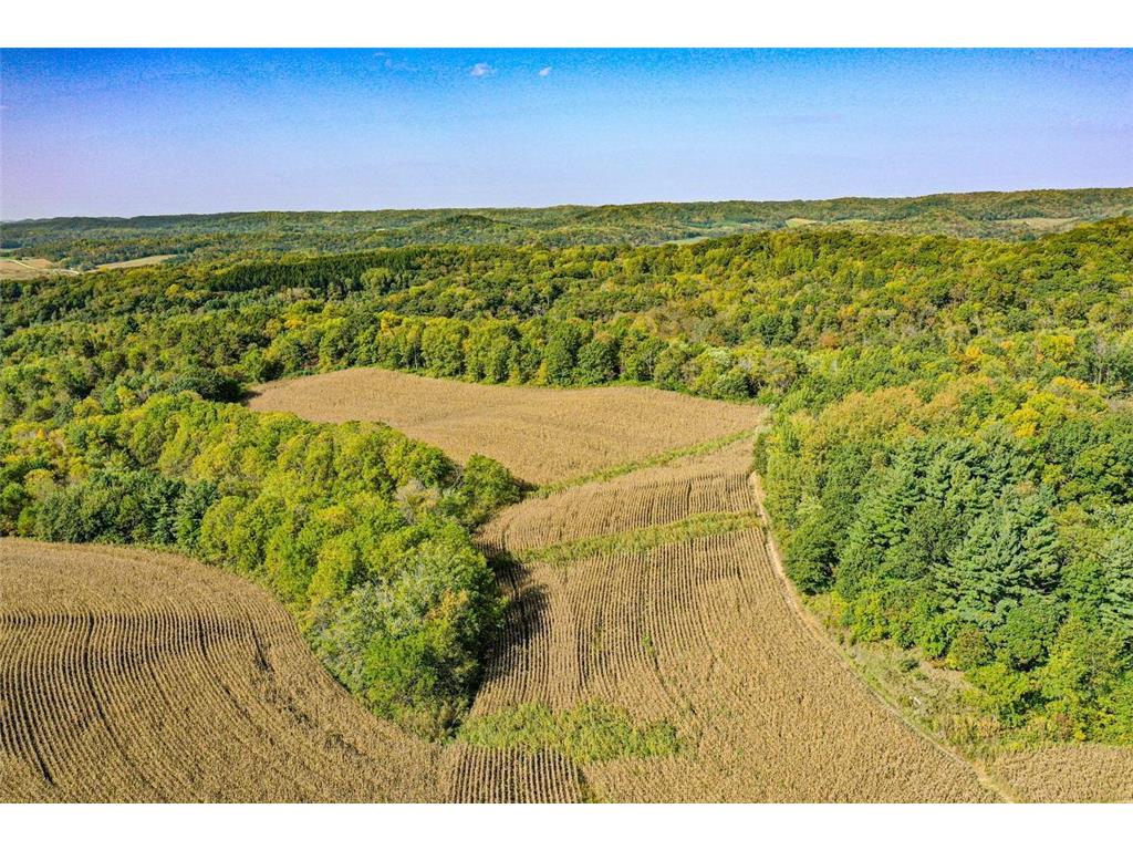 TBD Garves Road Burns Twp WI 54614 6810391 image7