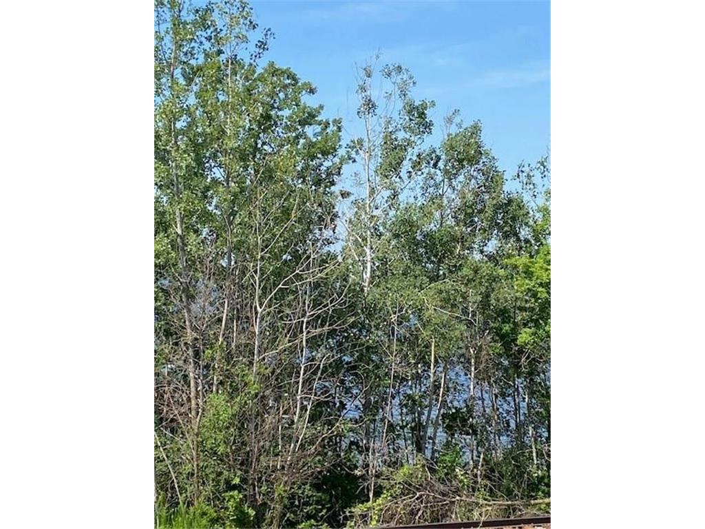 TBD Gemmel Avenue SW Bemidji MN 56601 - Irving 6442963 image1