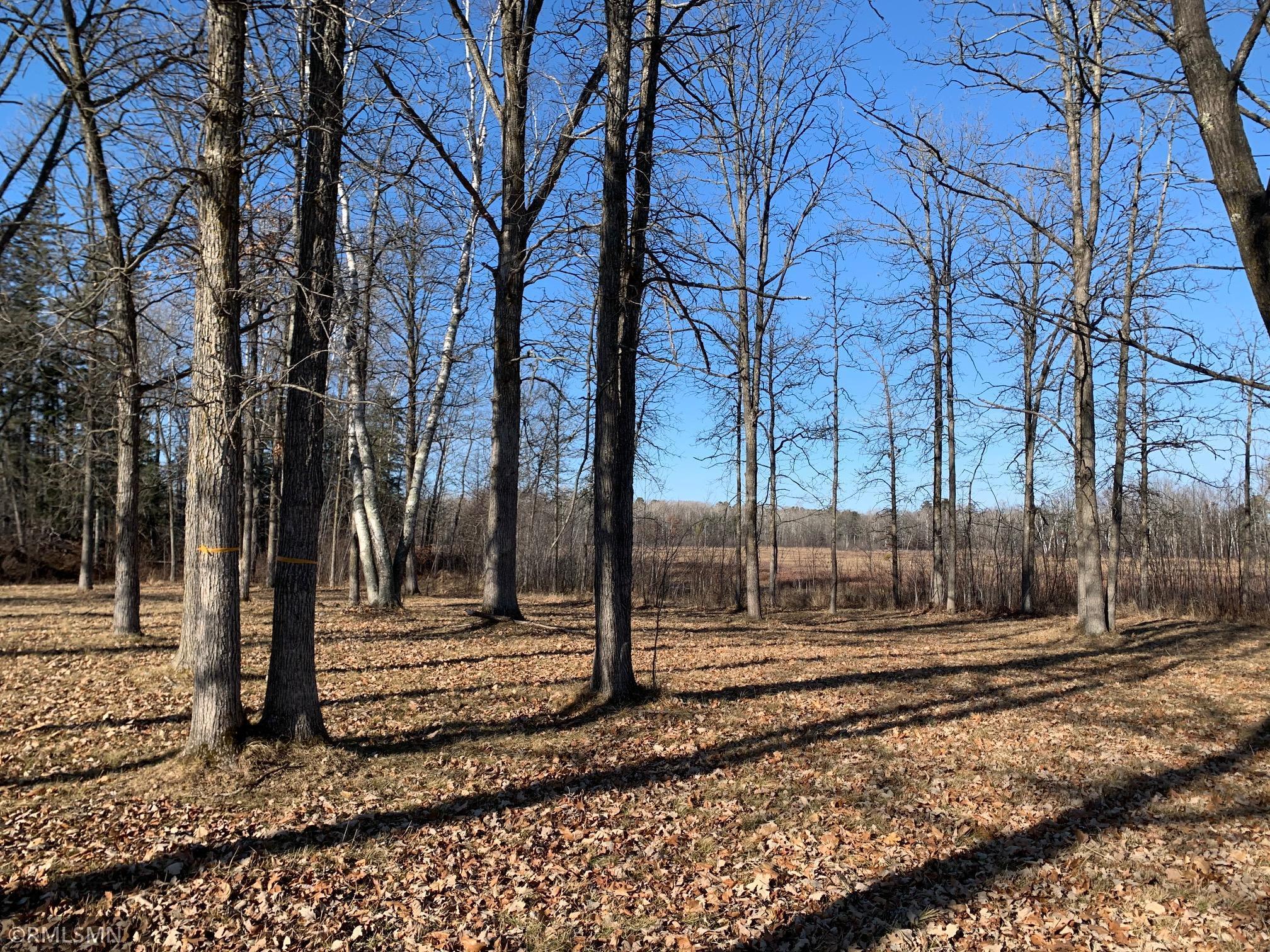 TBD Girl Lake Circle, Longville, MN, 56655 MLS 5685327 Edina Realty