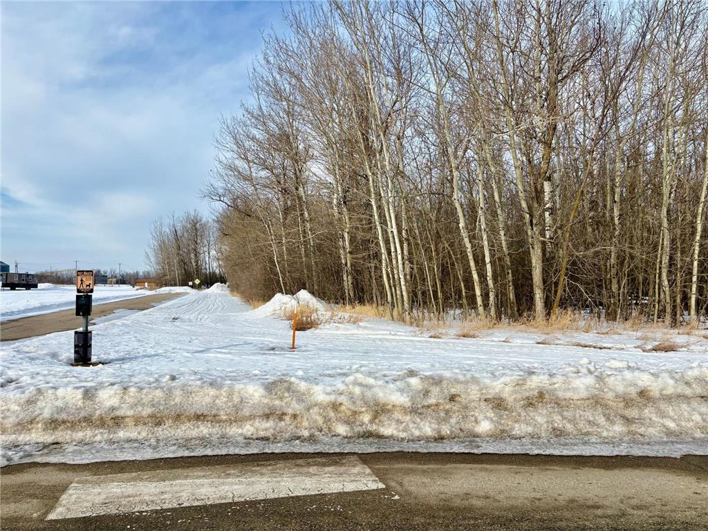 TBD Gladys St NE Warroad MN 56763 7022971 image4