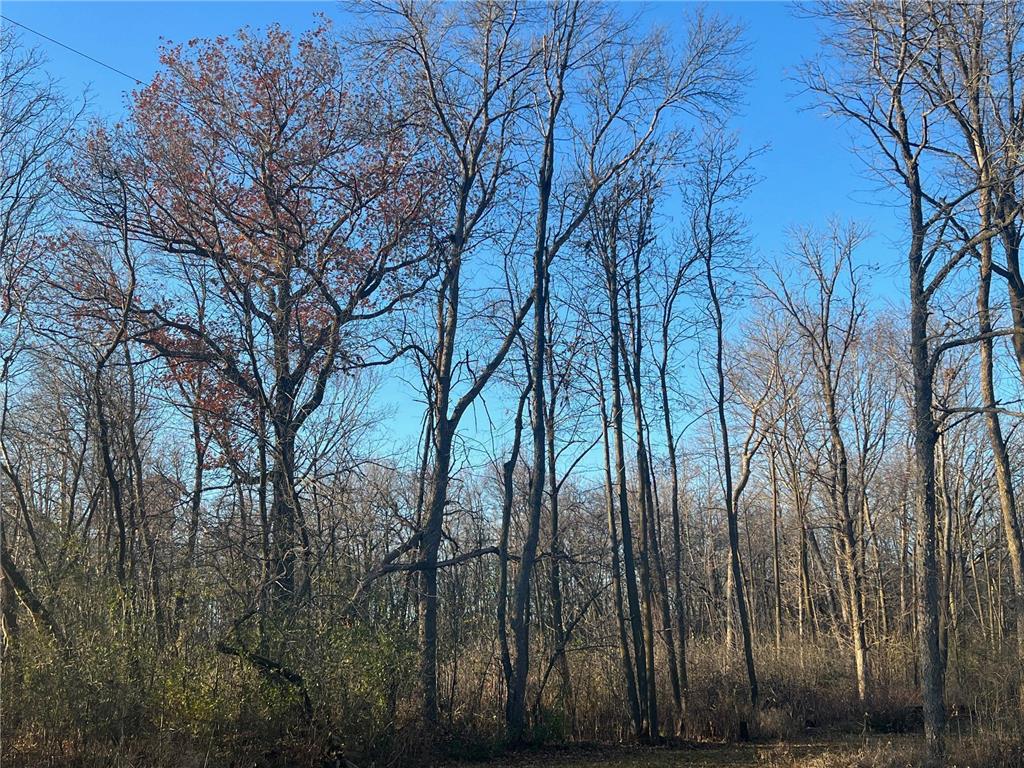 TBD Glendorado Road Foley MN 56329 6816316 image14