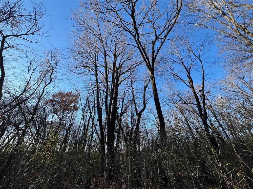 TBD Glendorado Road Foley MN 56329 6816316 image15