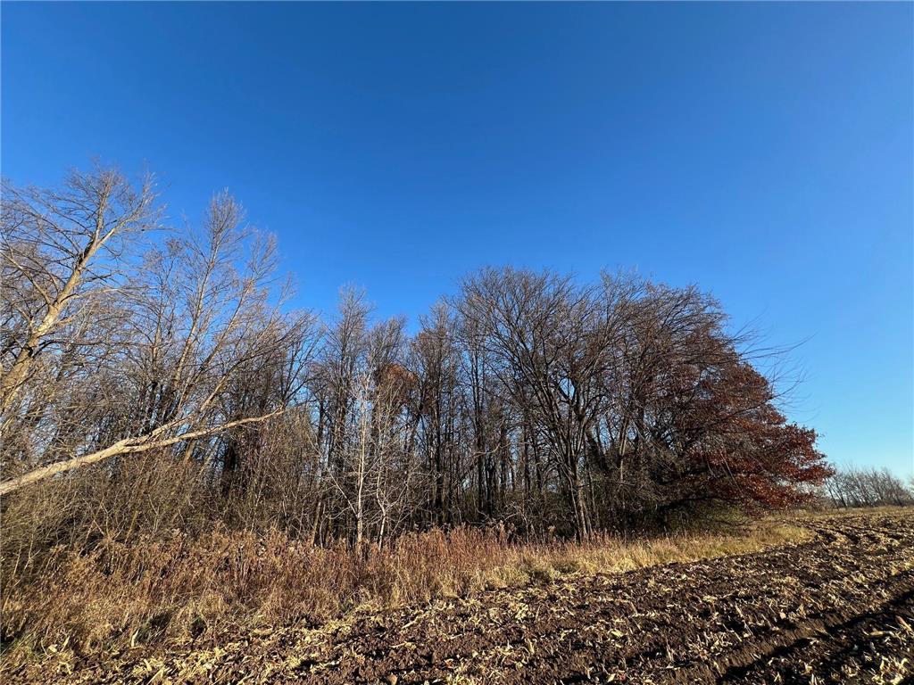 TBD Glendorado Road Foley MN 56329 6816316 image6