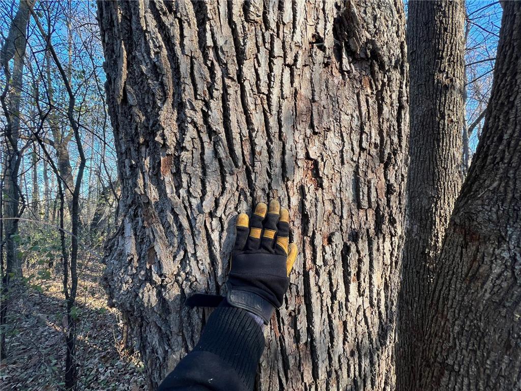 TBD Glendorado Road Foley MN 56329 6816316 image7