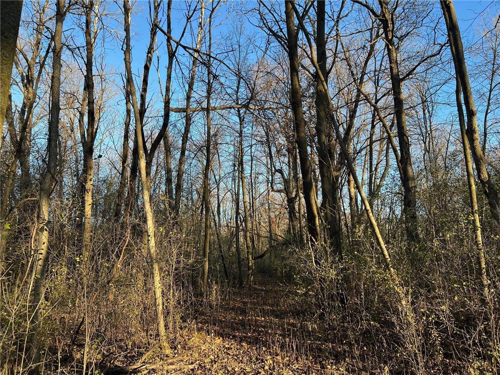 TBD Glendorado Road Foley MN 56329 6816316 image8