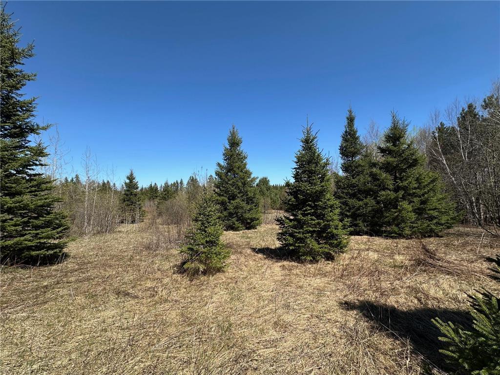 TBD Glenwood Drive Grand Rapids MN 55744 - Prairie River 6823375 image12