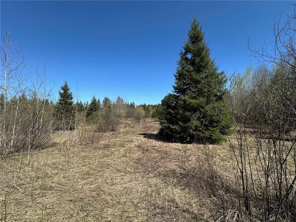 TBD Glenwood Drive Grand Rapids MN 55744 - Prairie River 6823375 image13