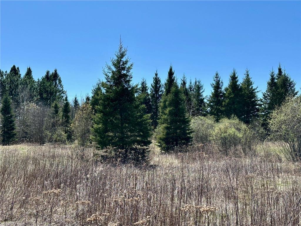 TBD Glenwood Drive Grand Rapids MN 55744 - Prairie River 6823375 image18