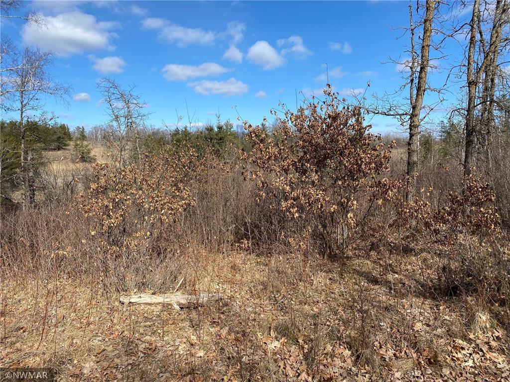 TBD (L9B2) Goldfinch Lane SW Bemidji MN 56601 5733998 image3