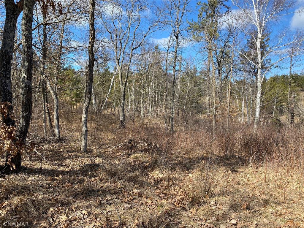 TBD (L9B2) Goldfinch Lane SW Bemidji MN 56601 5733998 image4