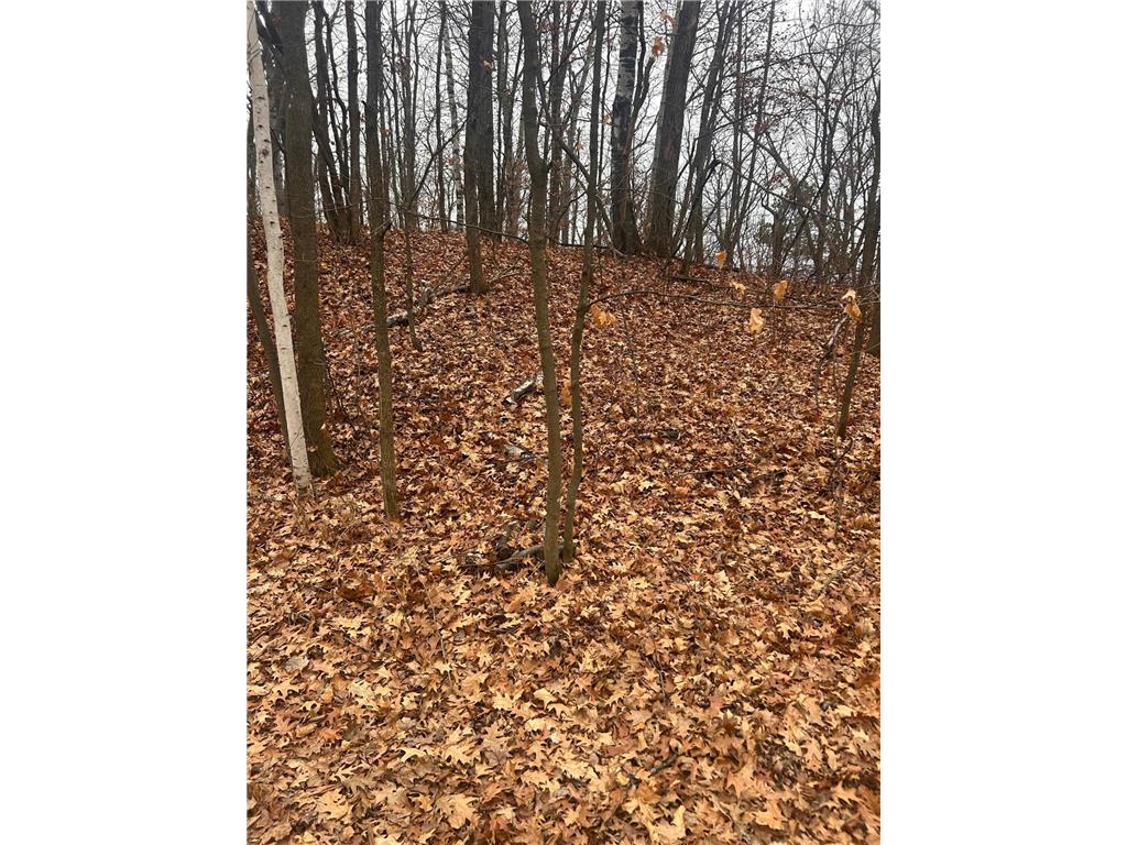 TBD Golf Course Cir Cushing Twp MN 56443 6818904 image1