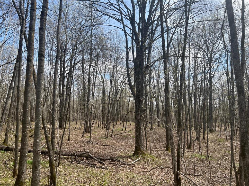 TBD Golf Course Road Morse Twp WI 54846 - Bad River 7026105 image23