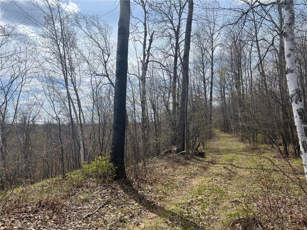 TBD Golf Course Road Morse Twp WI 54846 - Bad River 7026105 image7